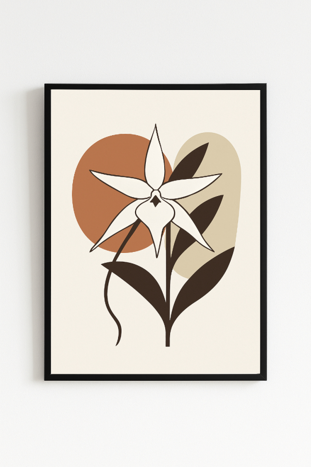 Étoile de Madagascar – Orchidée sacrée