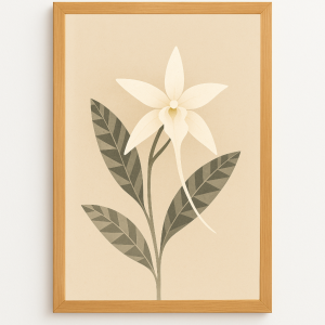 L’étoile de la vanille – Orchidée de Madagascar
